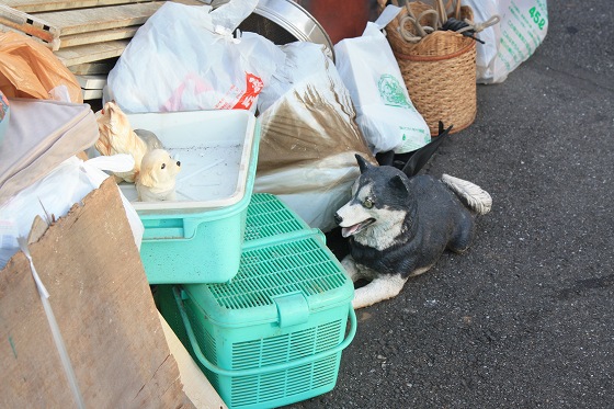ゴミ捨て場の一角に置かれたぬいぐるみの犬の写真。