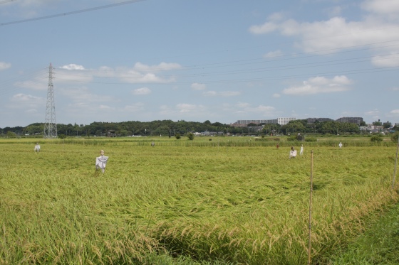 農家の人が案山子に説教している想像シーン