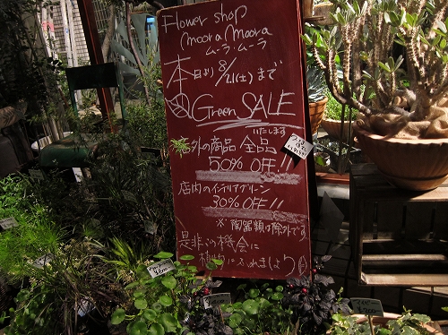 花屋「moora moora」のセール告知。グリーンに囲まれた涼しげな店頭風景。