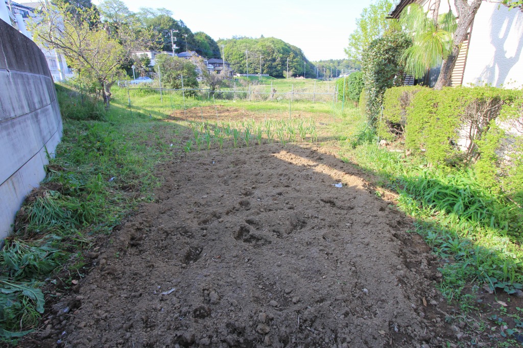 KB農園の畑を耕した後の全景