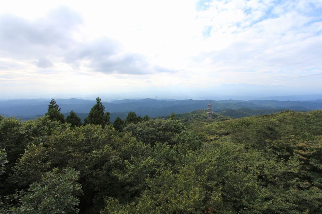 展望台からの眺め