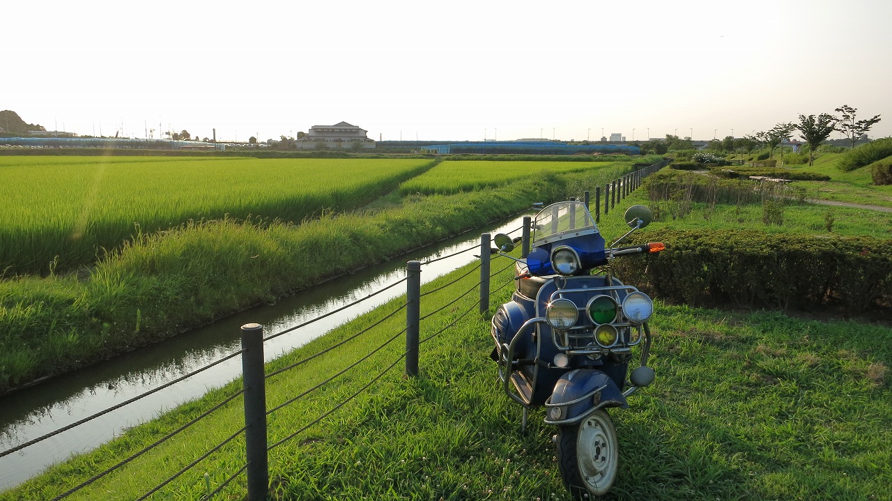 ベスパ50sの試運転で手賀沼へ