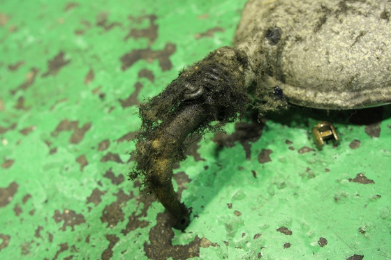 エンジンに付着した虫の死骸と格闘中の整備シーン