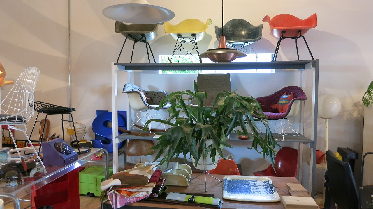 木製家具や照明が並ぶ店内