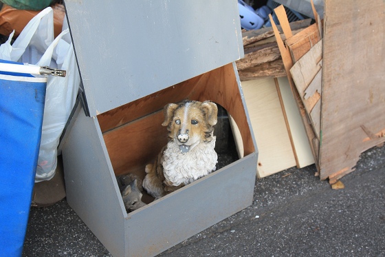 ゴミ捨て場に捨てられた複数の犬のぬいぐるみの写真。