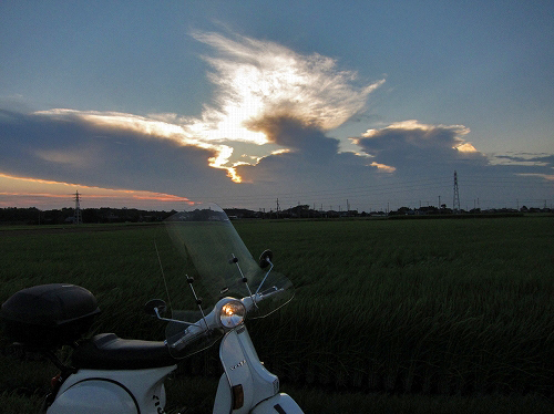 夕暮れの田んぼ道。通勤路で撮った一枚。