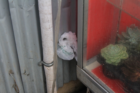 もう一箇所の穴にもビニールで応急処置されたトタン屋根