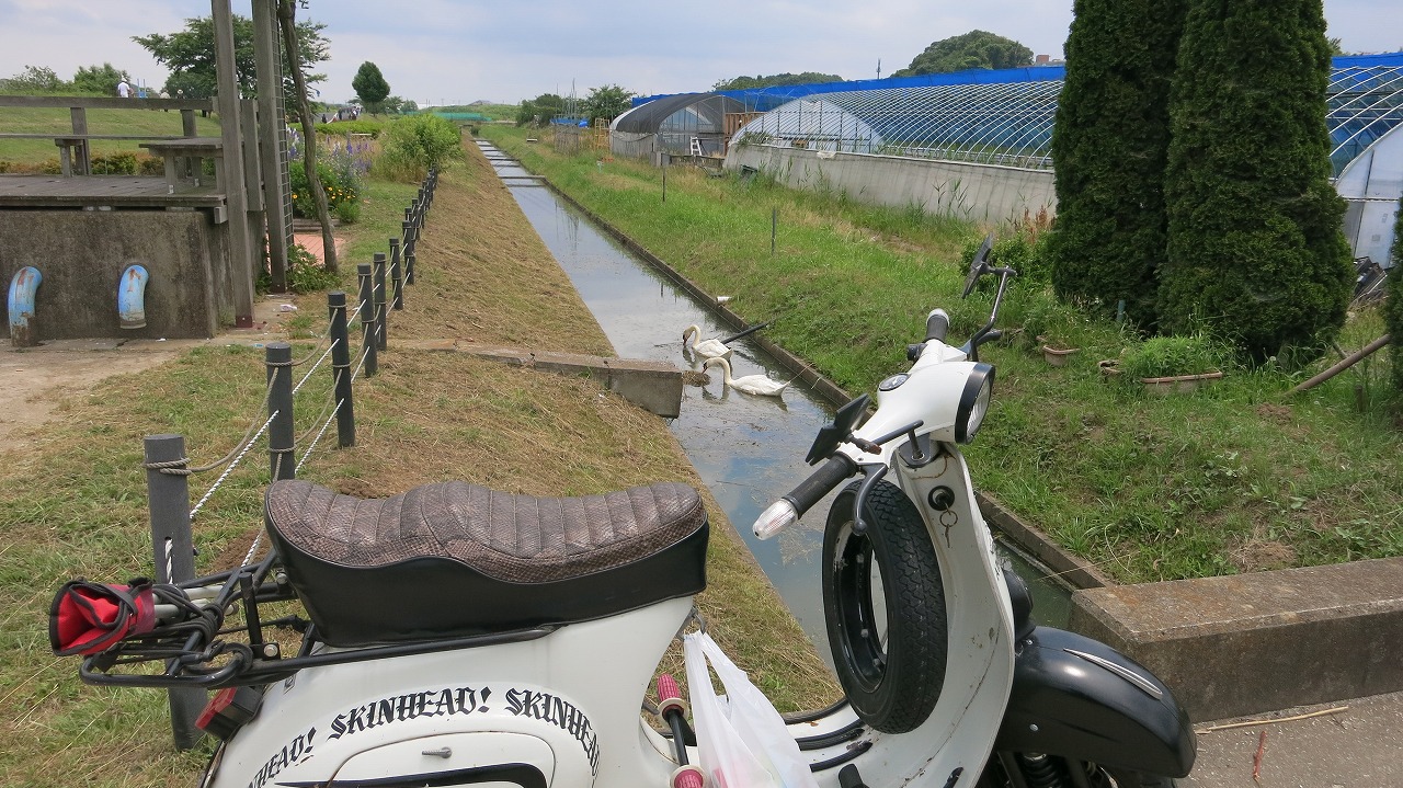 釣りに出かけた先の用水路とベスパ