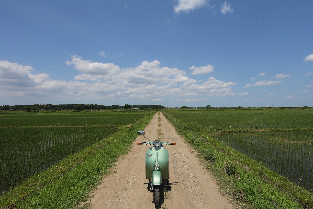 手賀沼近くの用水路の様子