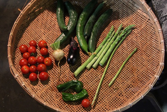 KB農園で安定供給されているミニトマトやナスなどの野菜たち