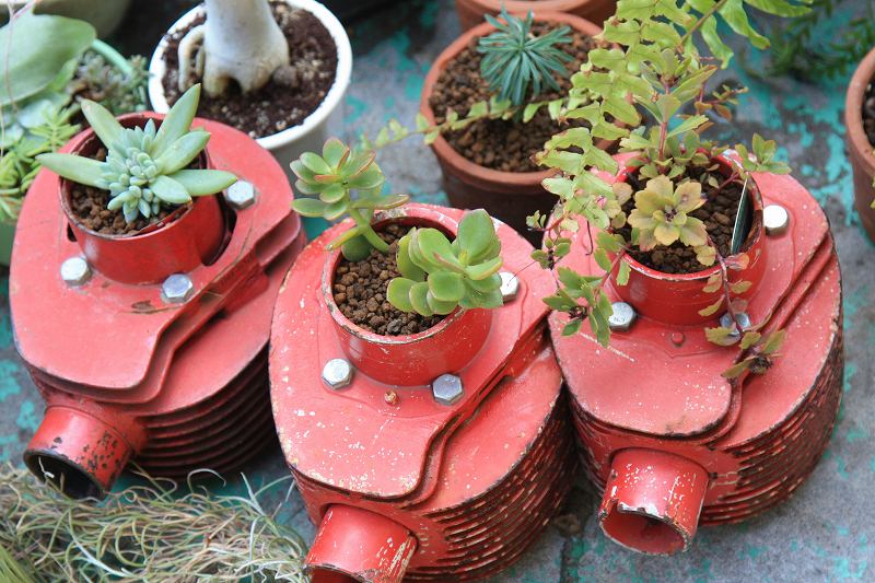 完成したシリンダー植木鉢に植物を入れた様子。