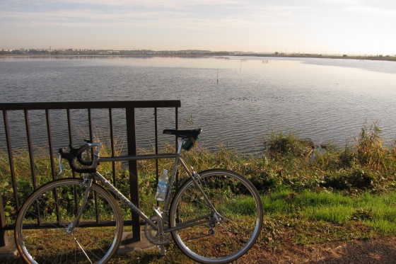 朝の30kmトレーニング再開の自転車風景