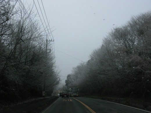 霧がかかった雪の朝の県道、対向車とバスが見える