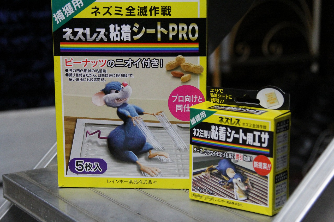 ネズミ捕獲用のトラップを設置した作業場の床