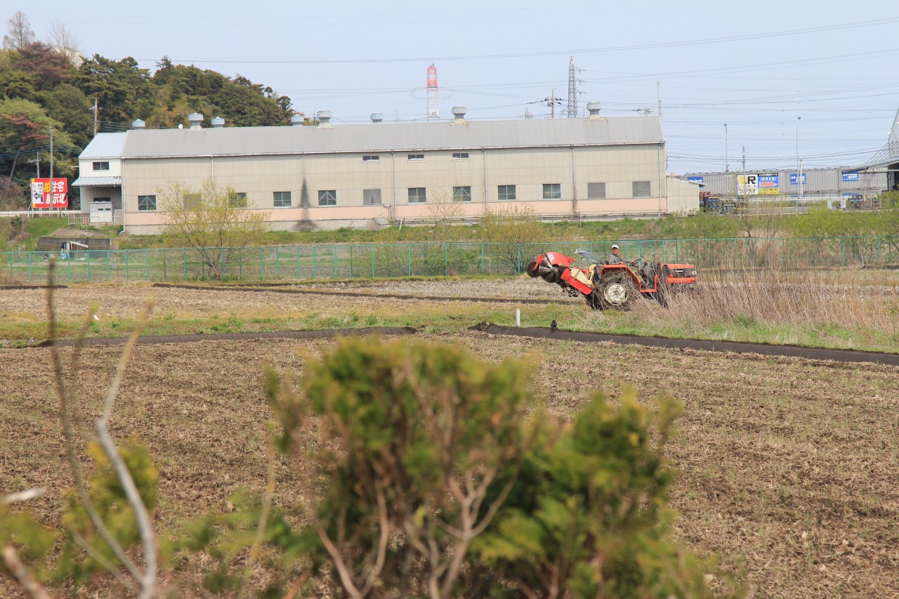 トラクターが四隅を残して走り去る田んぼ