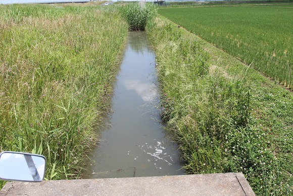 水面を覗く釣りができそうな用水路