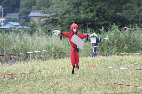 顔が怖すぎてコメントできない案山子その３