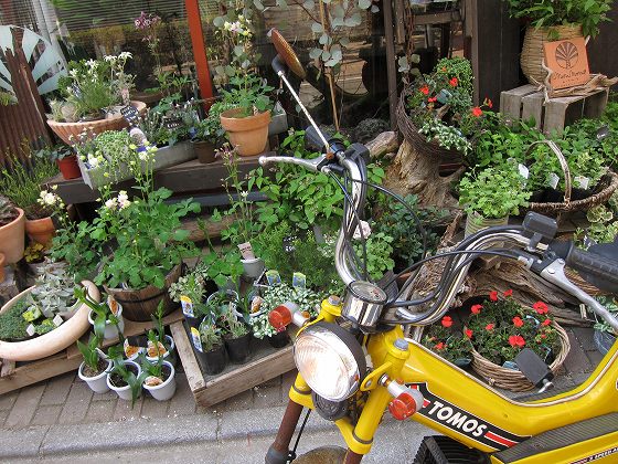 ちょろっと修理されたTOMOS