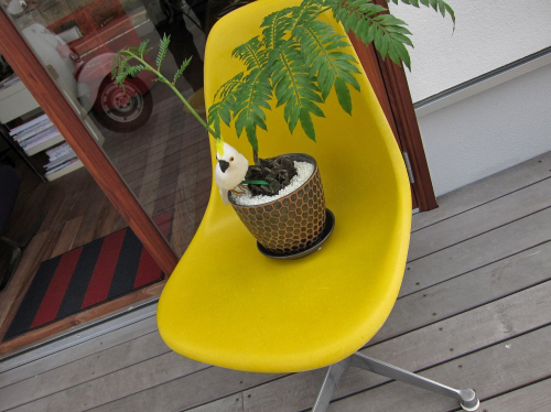 黄色い椅子に置かれた観葉植物