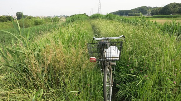 釣り仕様の小型自転車