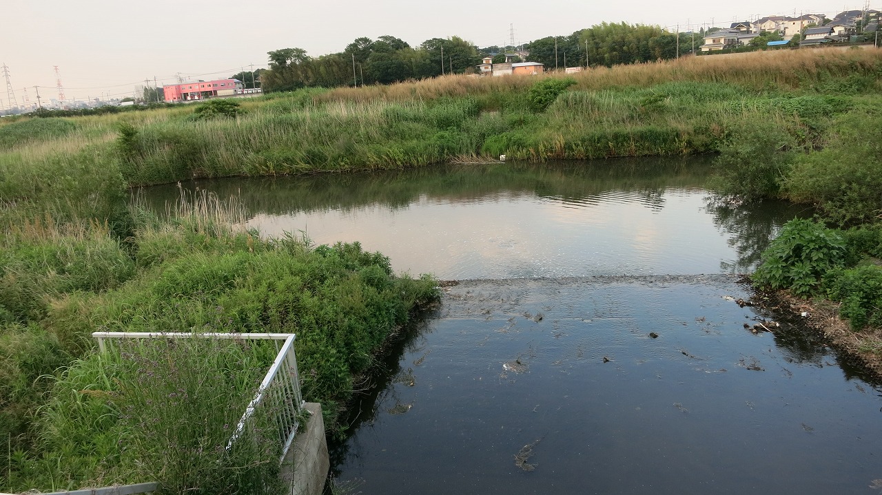 釣り場に向かう途中の風景