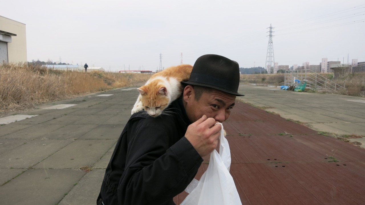 肩によじ登ってきた猫の姿
