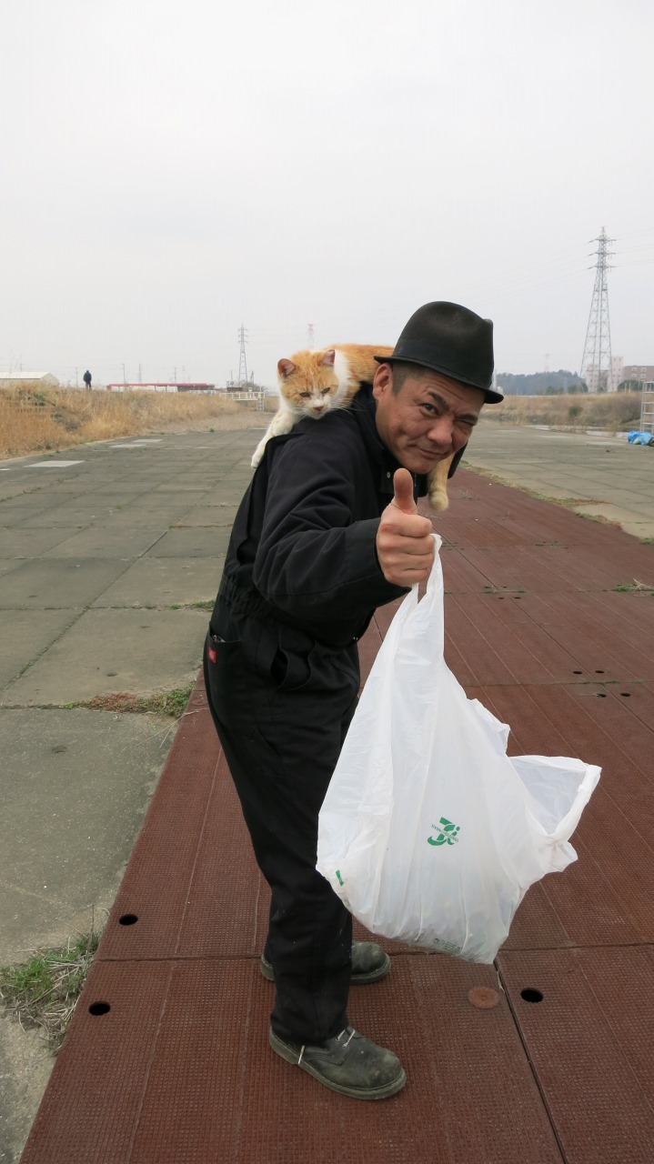 顔の近くにやってきた猫