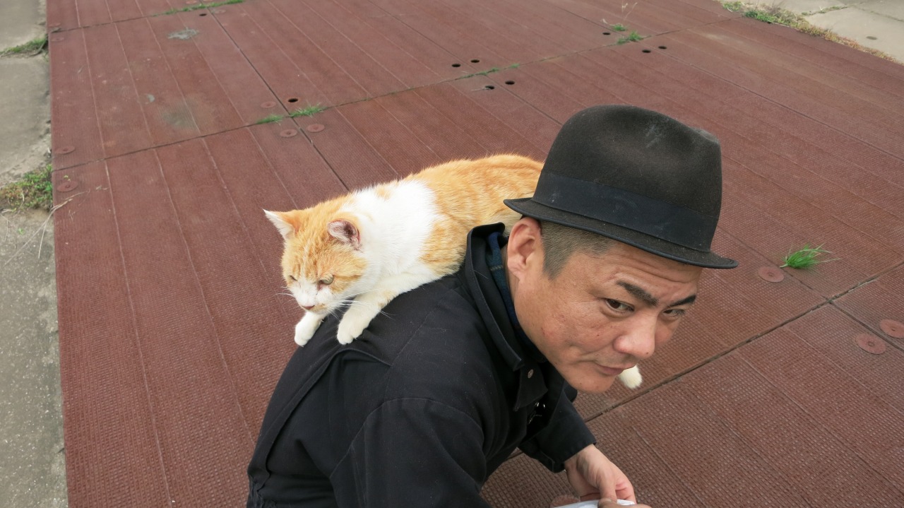 肩の上で甘える猫と驚く本人の表情