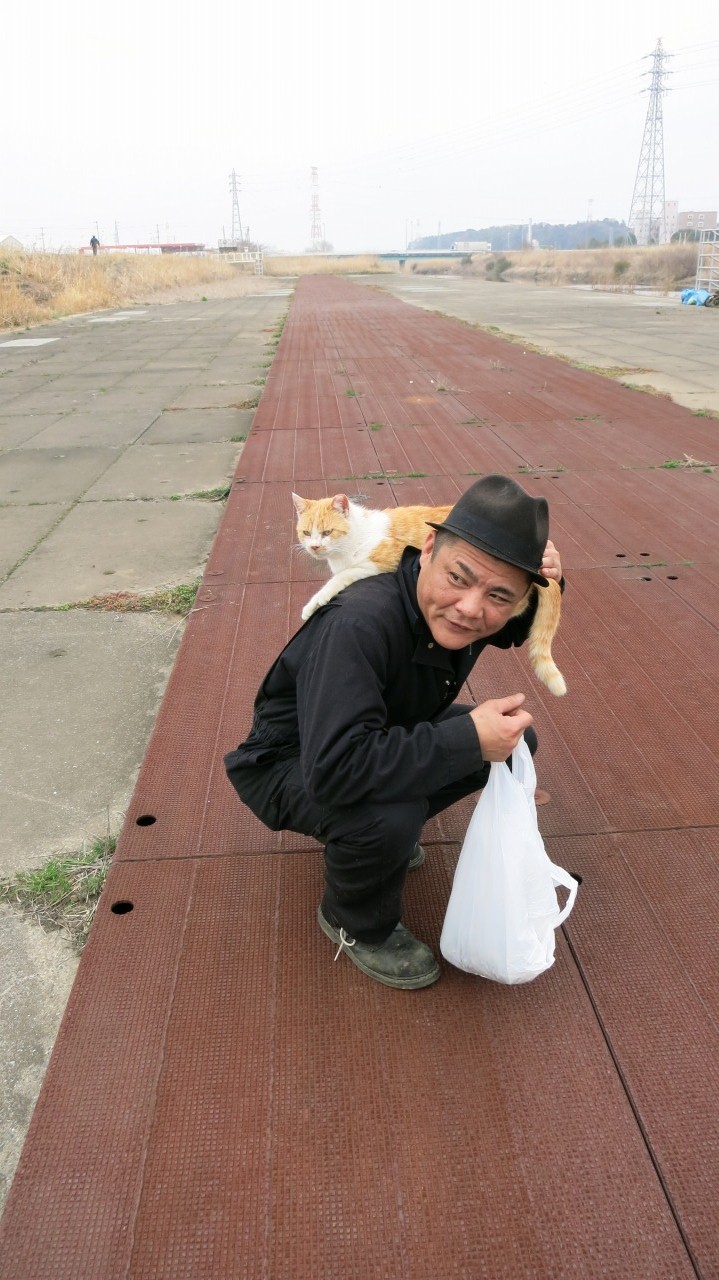 見上げる位置に猫が乗った瞬間