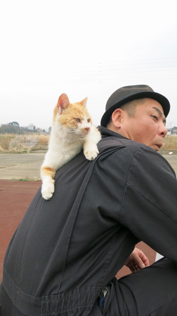 甘えるように体を預ける猫