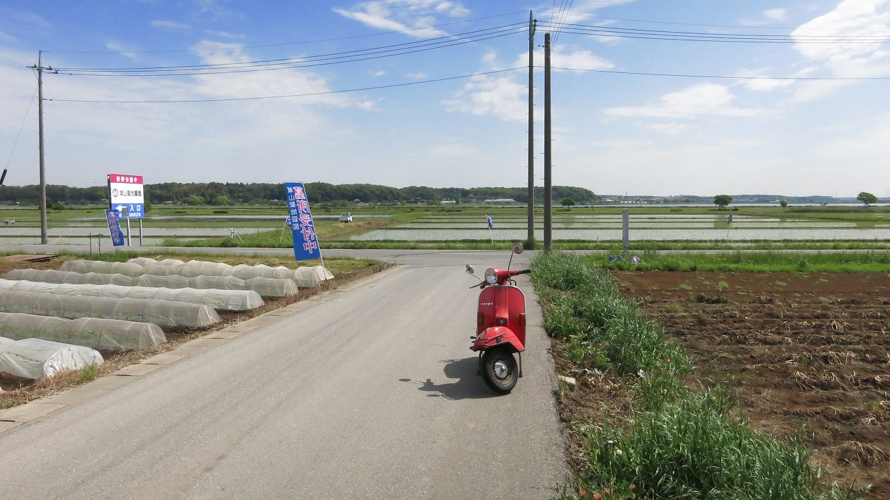 水田沿いをベスパで試運転する風景