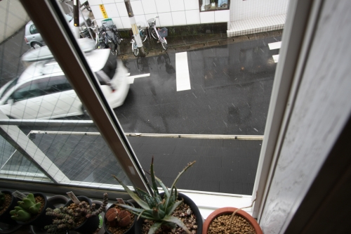 2階の窓から見下ろす道路と雪が舞う様子。多肉植物の鉢が窓辺に並ぶ
