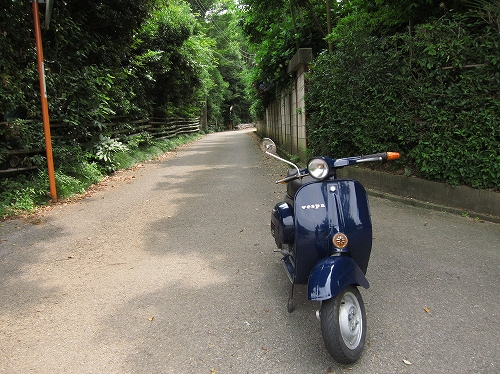 開店前、長距離試運転へ出発するvespa100の後ろ姿