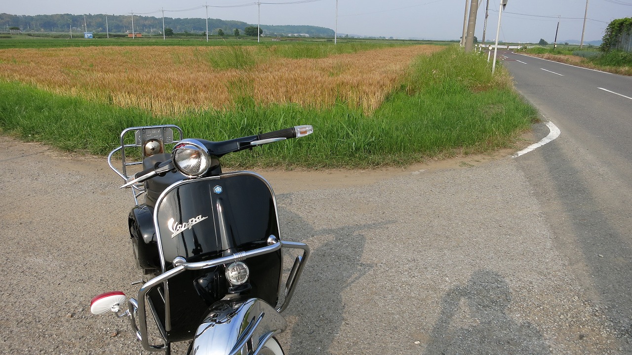 vespa50sの試運転風景