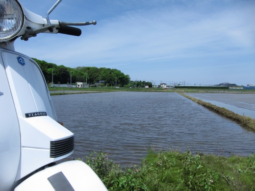 水が張られた手賀沼沿いの田んぼ道でPX200FLを試運転中の風景