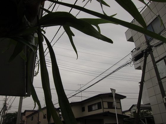 雨が降り出しそうな曇り空