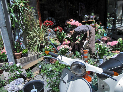 moora moora前を通過中に見かけた花屋のキラキラした母の日の装い