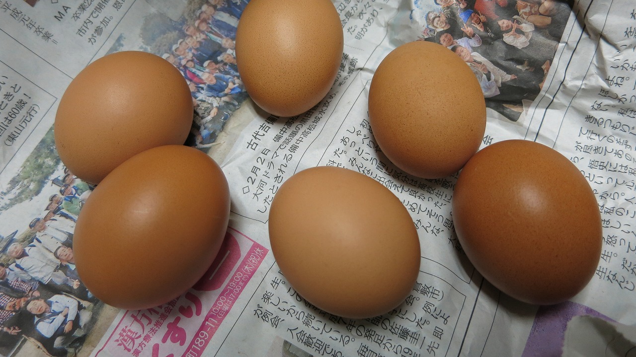 おひさま堂のこだわり卵のパッケージ
