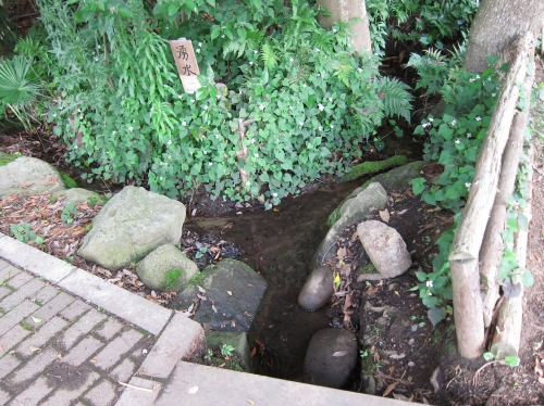 湧水地の写真（現地の様子）