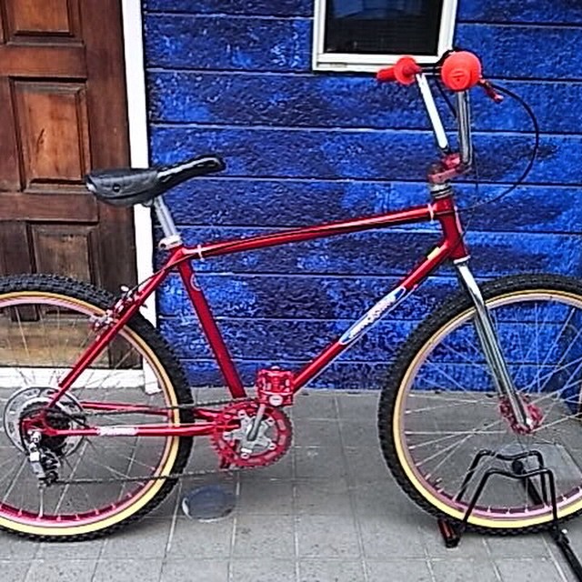 シュイン・キングスティングの自転車写真