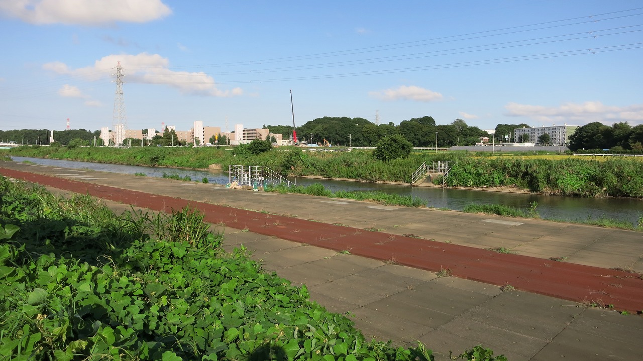 近所の河原の風景