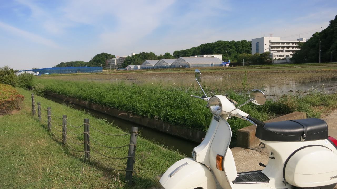 手賀沼周辺を試運転する3台のベスパ