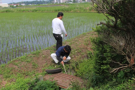 BrotherWorksさんたちのザリガニ釣り1