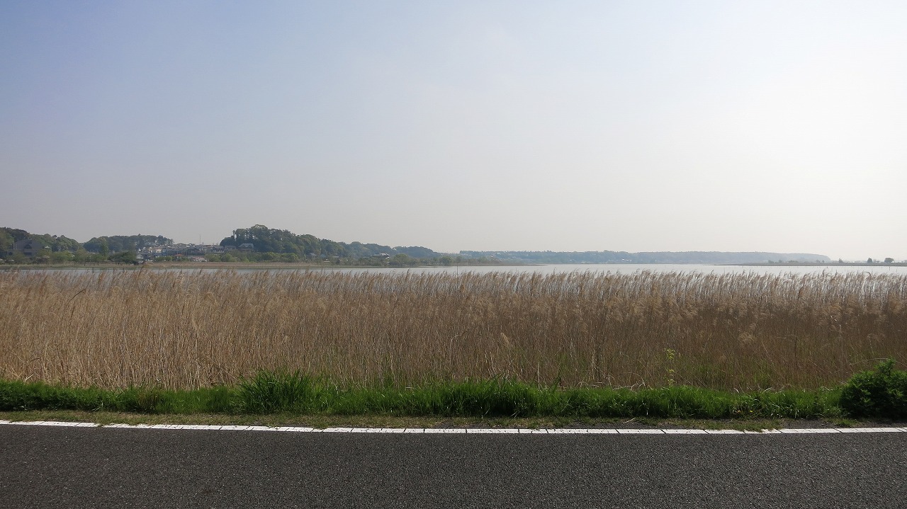 手賀沼の朝の風景を眺めながらのひととき
