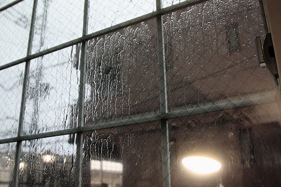 激しい雨が降り出した直後の風景