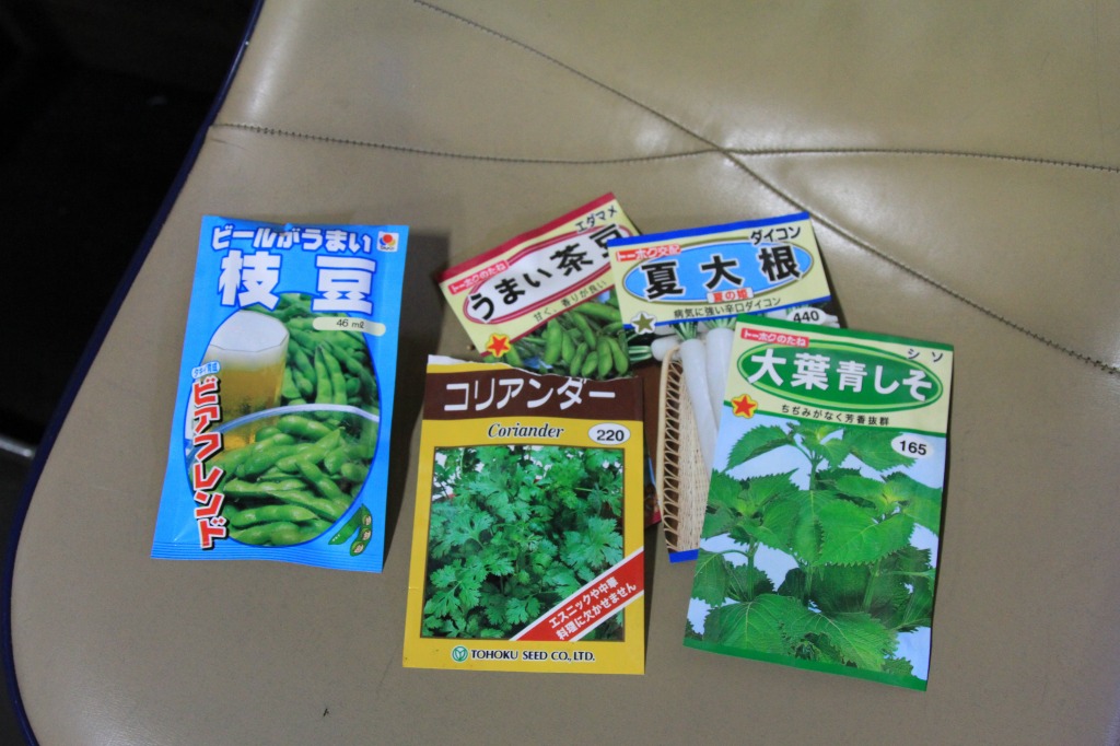 KB農園の種まき直後の様子