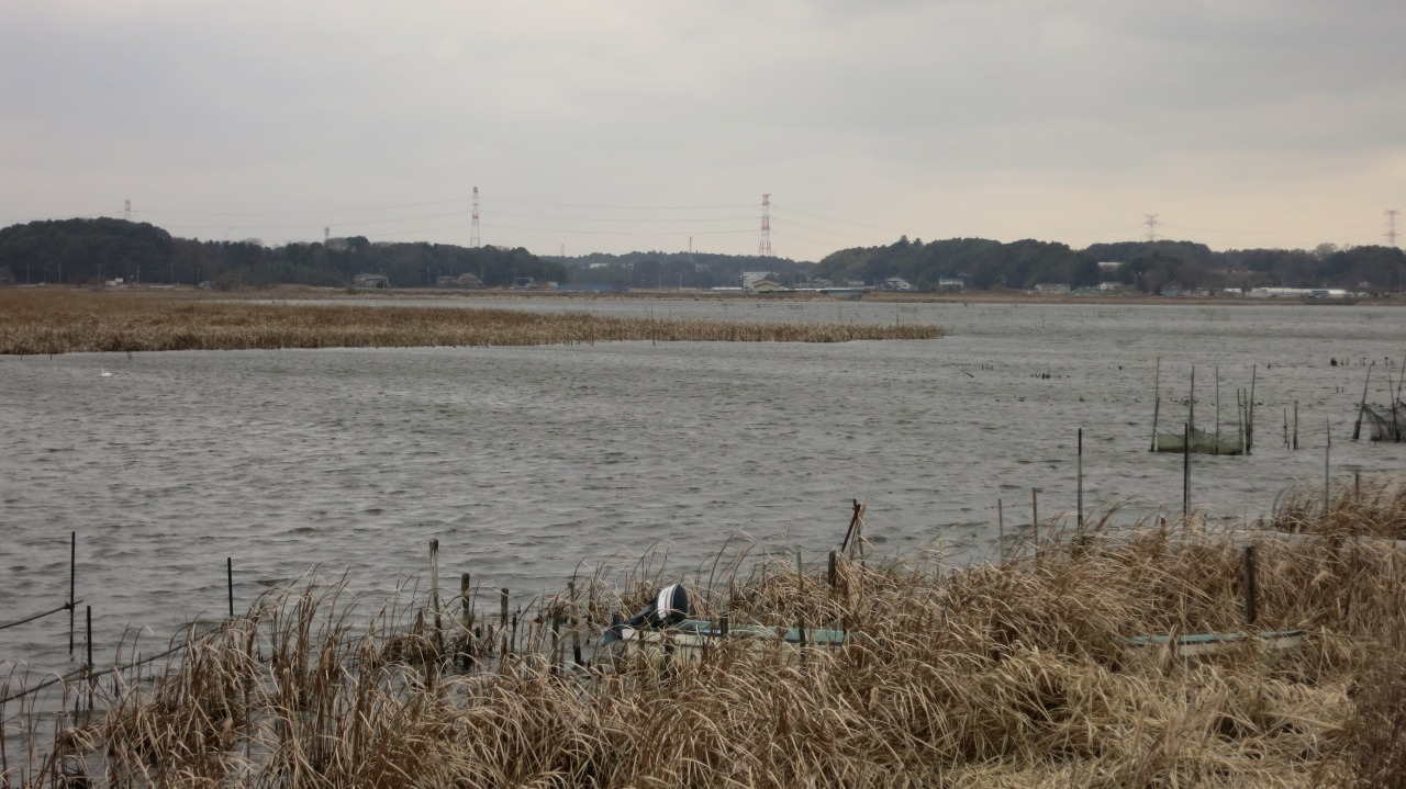 雨に降られた手賀沼沿い