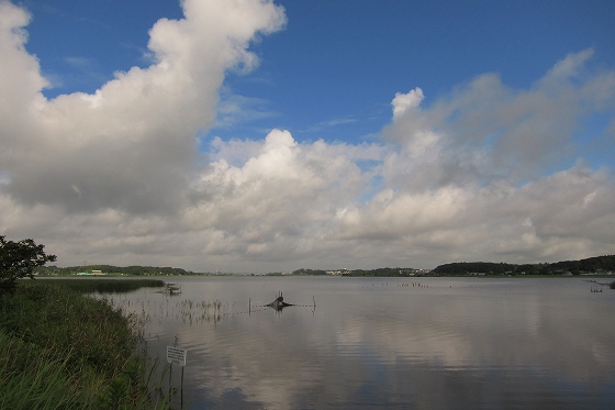 早朝の手賀沼サイクリングで見えた美しい水辺の風景