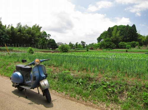 整備後のP125Xで試運転中に撮影した農道風景