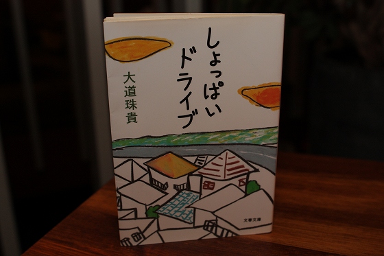 しょっぱいドライブ（大道珠貴）の表紙